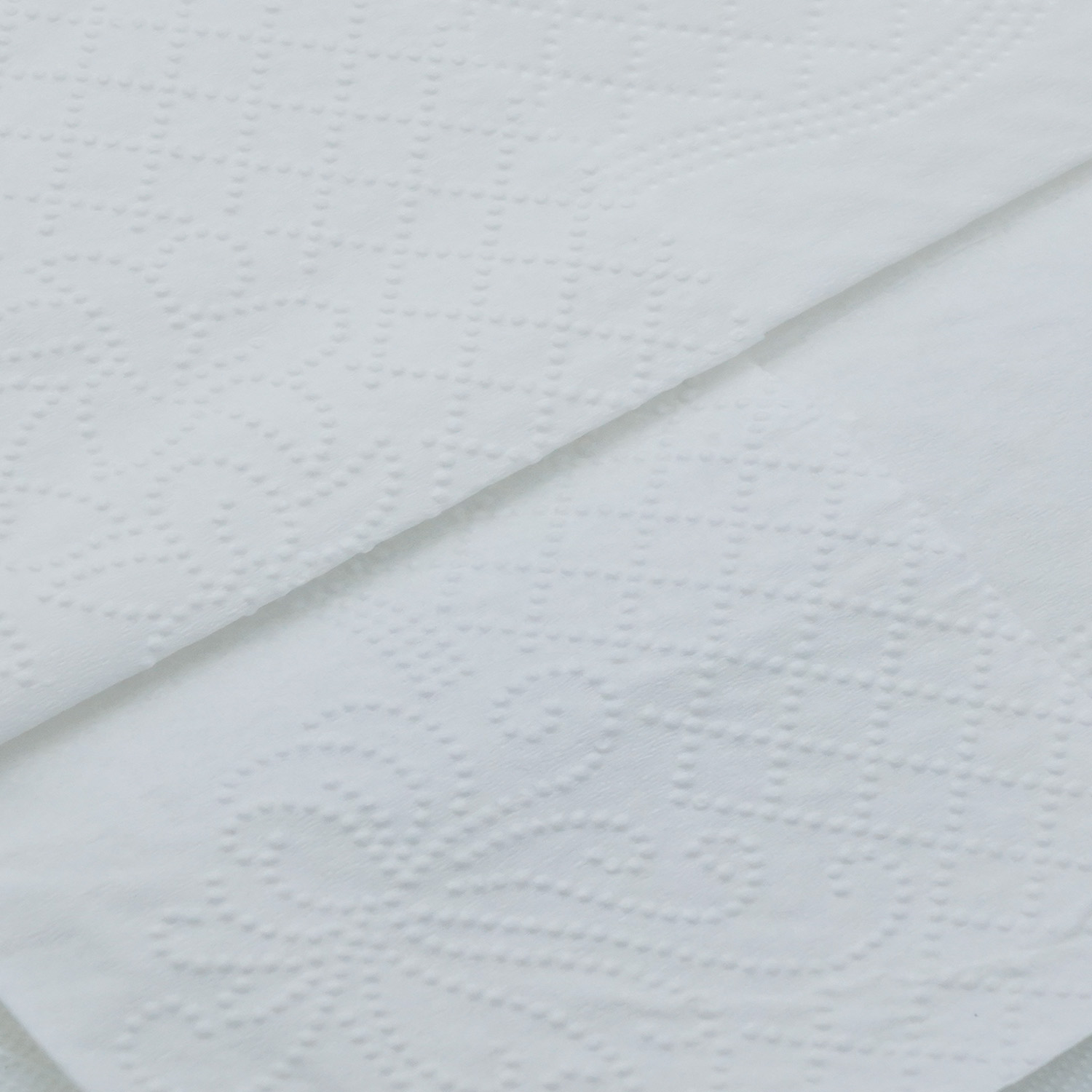 tissue