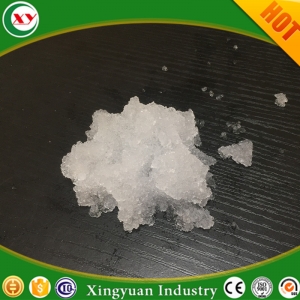 Sap super absorbent polymer